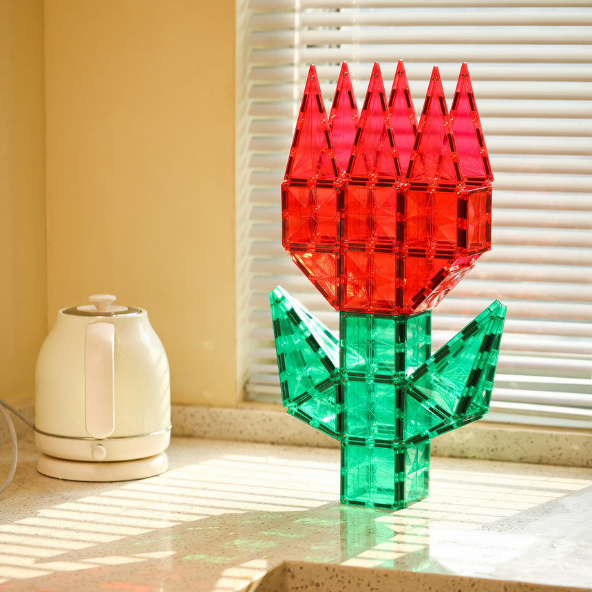 MNTL Classic Basic Teaching Aids Magnetic Tile Set 62 Pcs